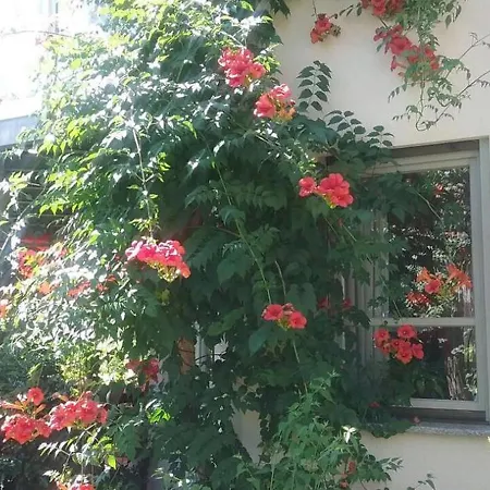Ingeborg Schmitz Apartment